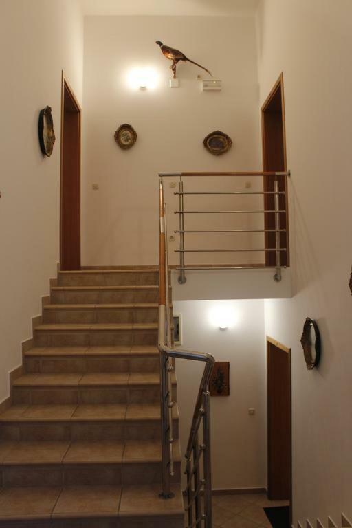 Apartmani Zeljko Metajna Extérieur photo